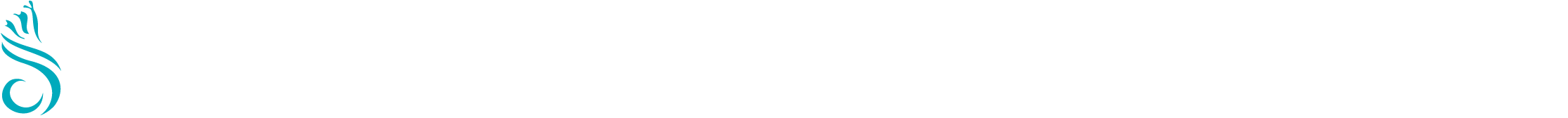 Magnetic Island Ferries